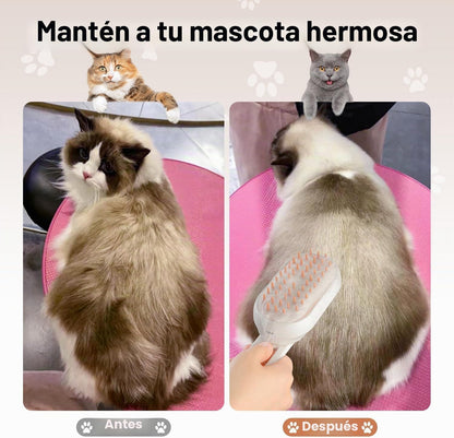Cepillo Vapor Para Gatos Perro, 5-In-1 Multifuncional Cepillo a Vapor Para Mascotas Con Tanque De Agua Y Recargable Para Desenredar Nudos Y Pelos Sueltos En Animales, Blanco